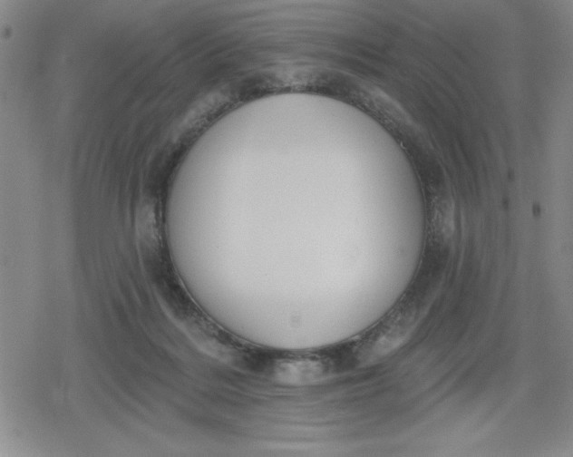 X0000080180220200612221324