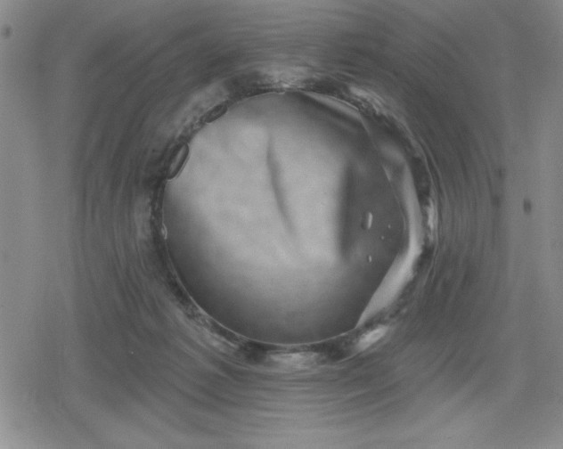 X0000080180221200612221324