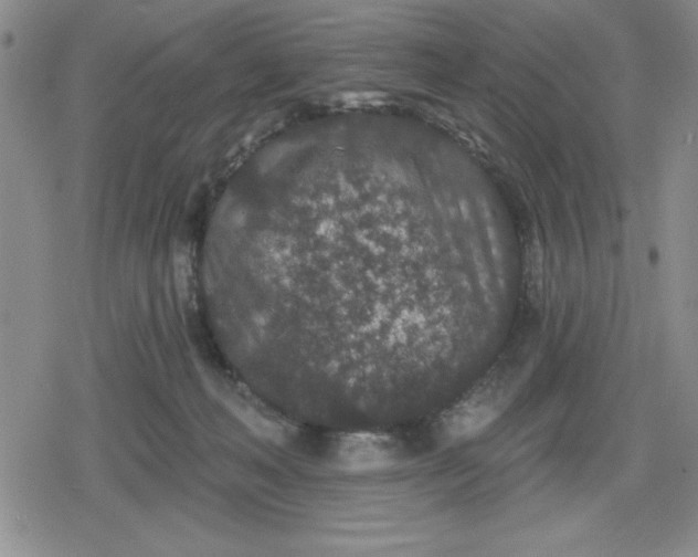 X0000080180222200612221324