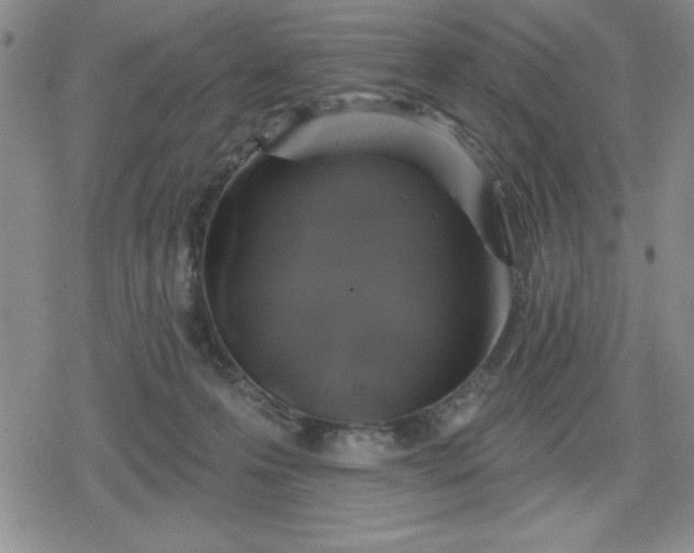 X0000080180223200612221324