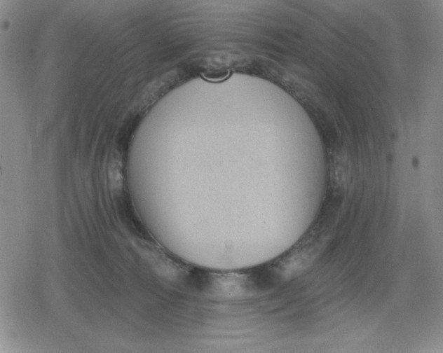 X0000080180226200612221324