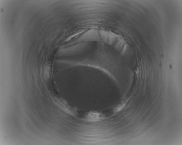 X0000080180227200612221324