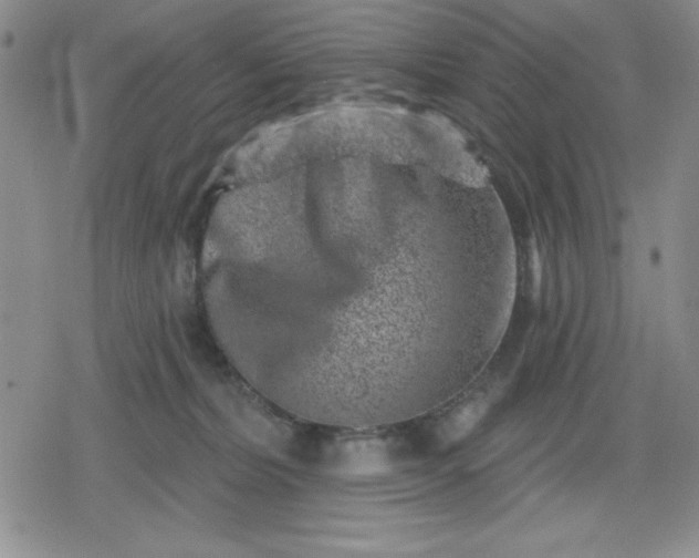 X0000080180228200612221324