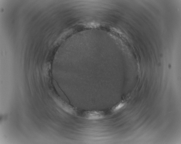 X0000080180229200612221324