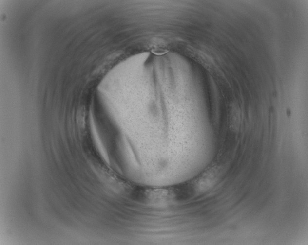 X0000080180230200612221324