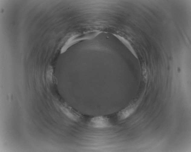 X0000080180231200612221324