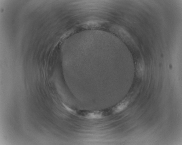 X0000080180232200612221324