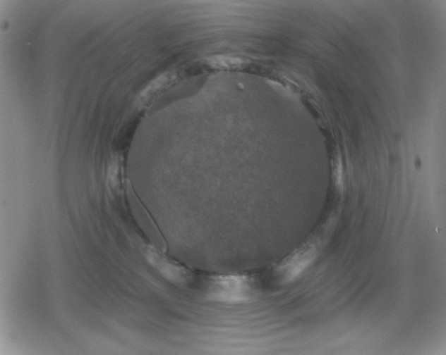 X0000080180233200612221324