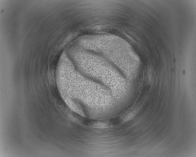 X0000080180236200612221323