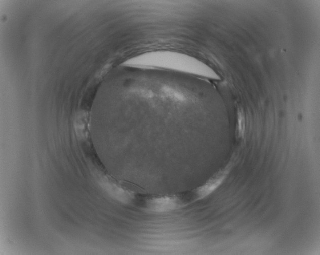 X0000080180237200612221323