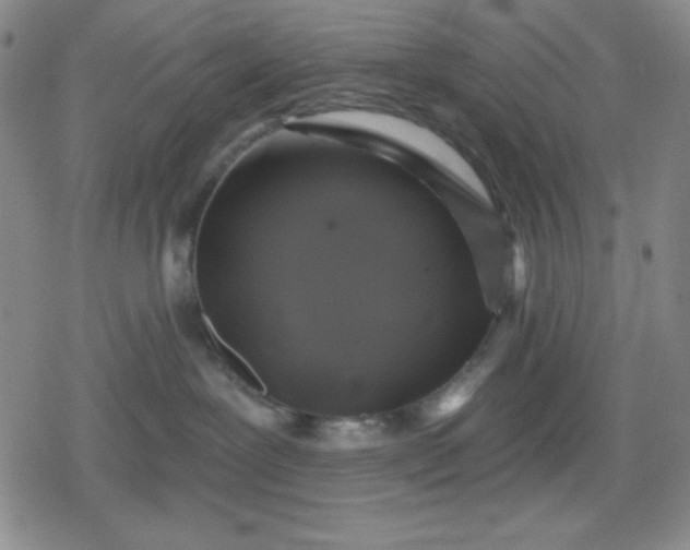 X0000080180239200612221323