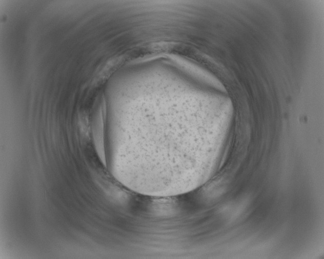 X0000080180240200612221323