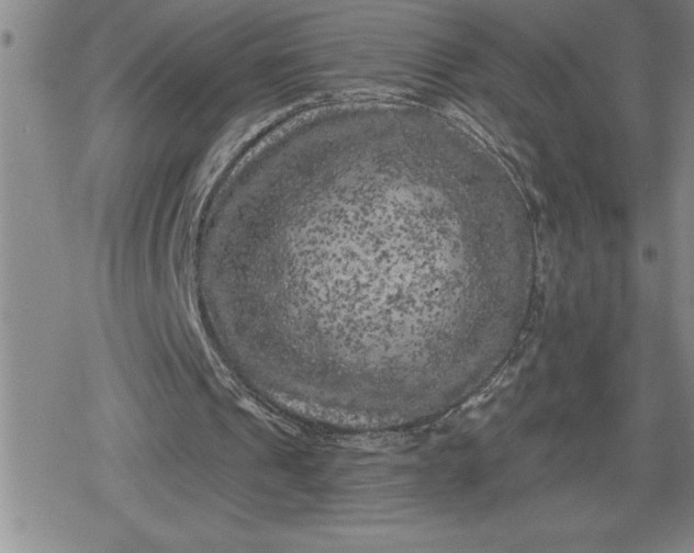 X0000080180241200612221323