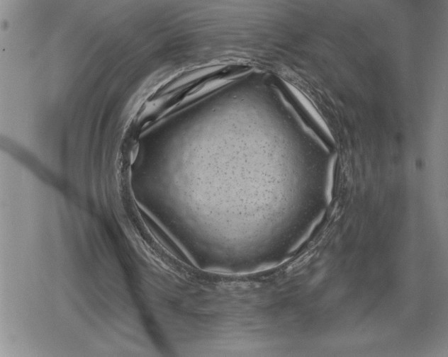 X0000080180242200612221323