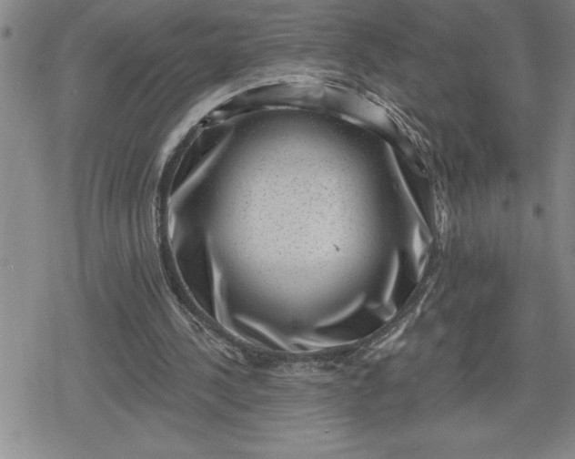 X0000080180244200612221323