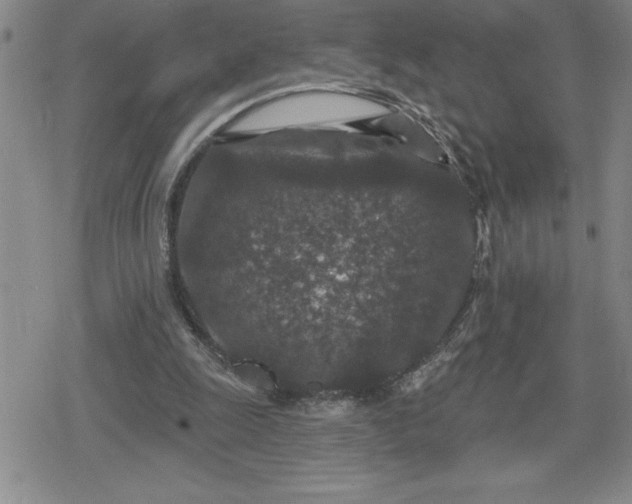 X0000080180247200612221323