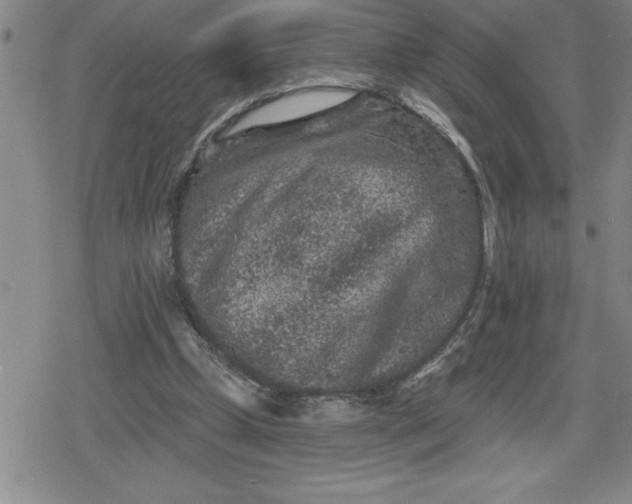 X0000080180249200612221323