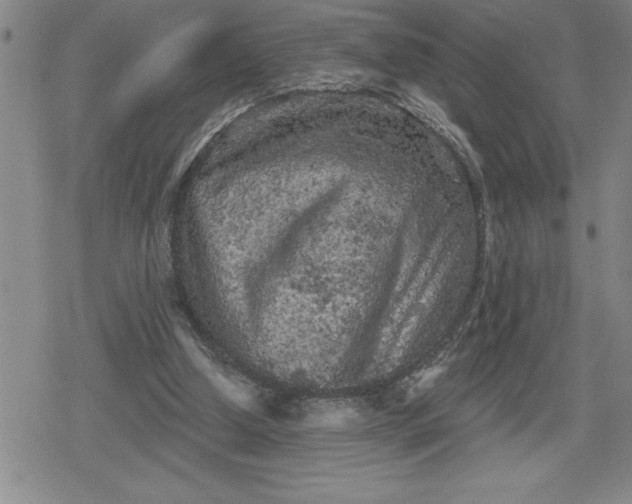 X0000080180250200612221323