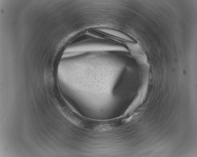 X0000080180252200612221323