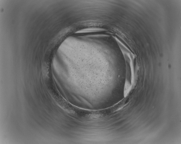 X0000080180255200612221323