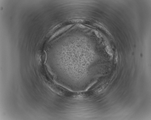 X0000080180259200612221323