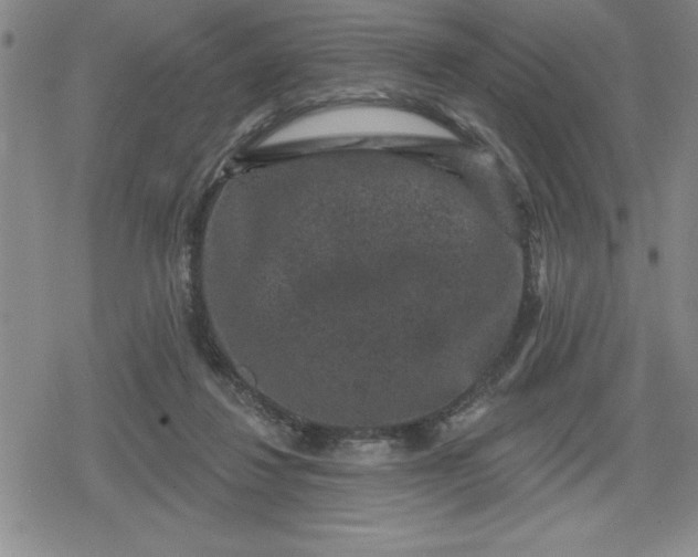 X0000080180260200612221323