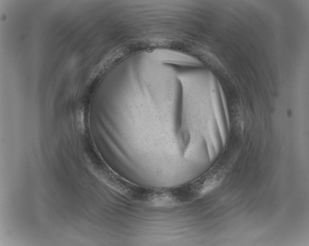 X0000080180262200612221323