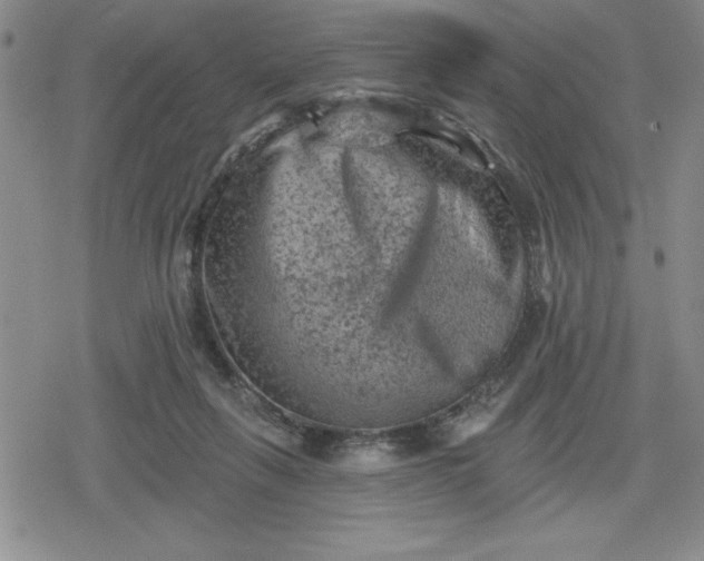 X0000080180263200612221323