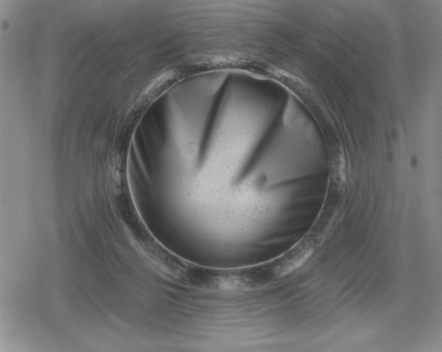 X0000080180264200612221323