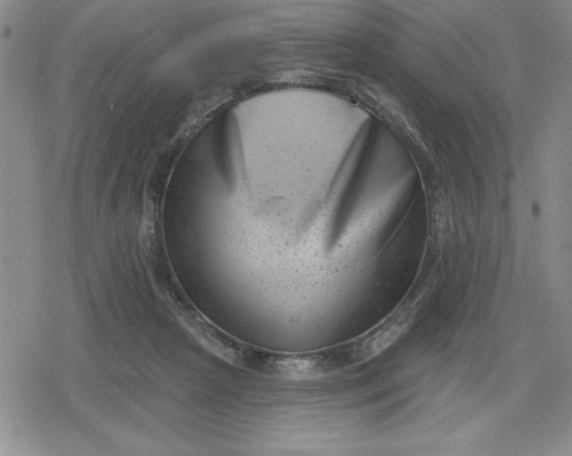 X0000080180265200612221323