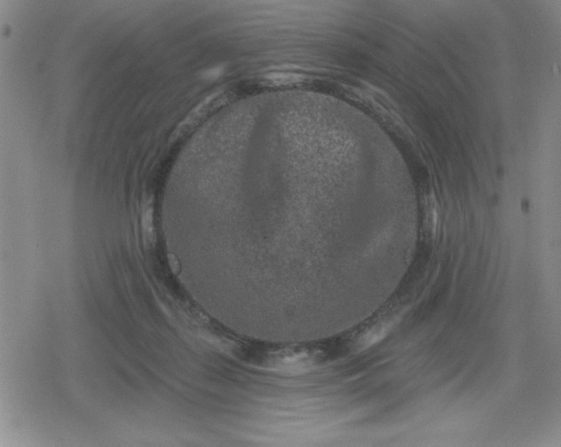 X0000080180267200612221323