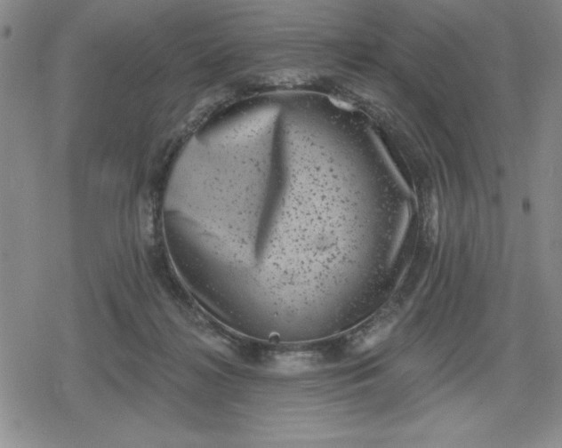 X0000080180268200612221323