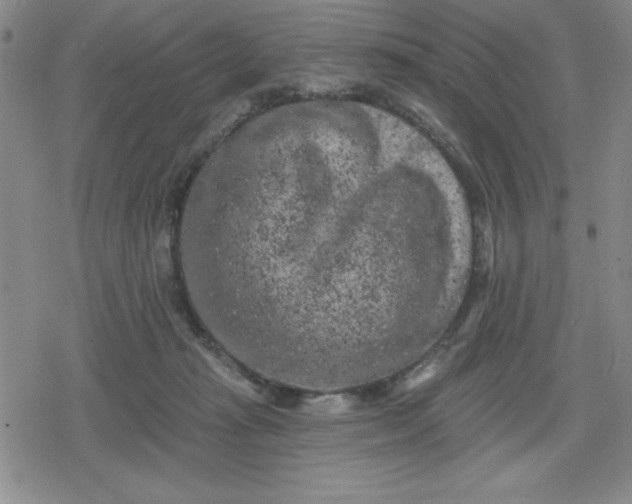 X0000080180269200612221323