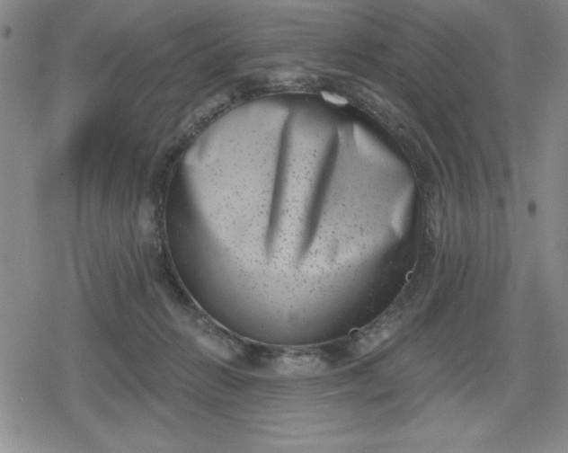 X0000080180270200612221323