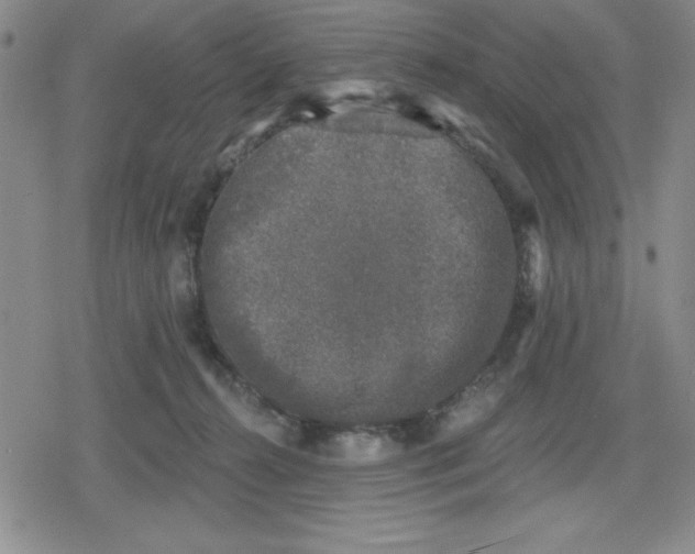 X0000080180272200612221323