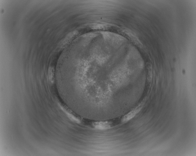 X0000080180273200612221323