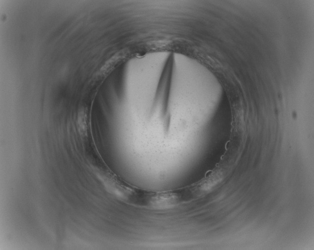 X0000080180274200612221323