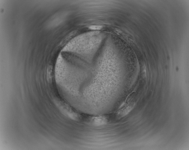 X0000080180275200612221323