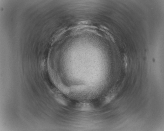 X0000080180276200612221323