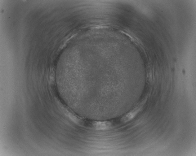 X0000080180277200612221323