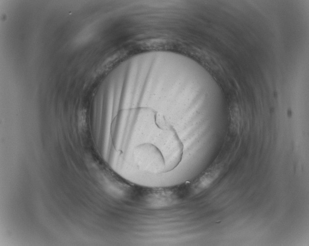 X0000080180278200612221323