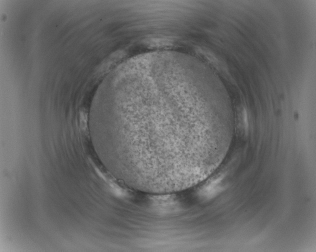 X0000080180281200612221323