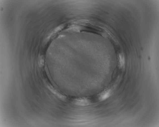 X0000080180284200612221323