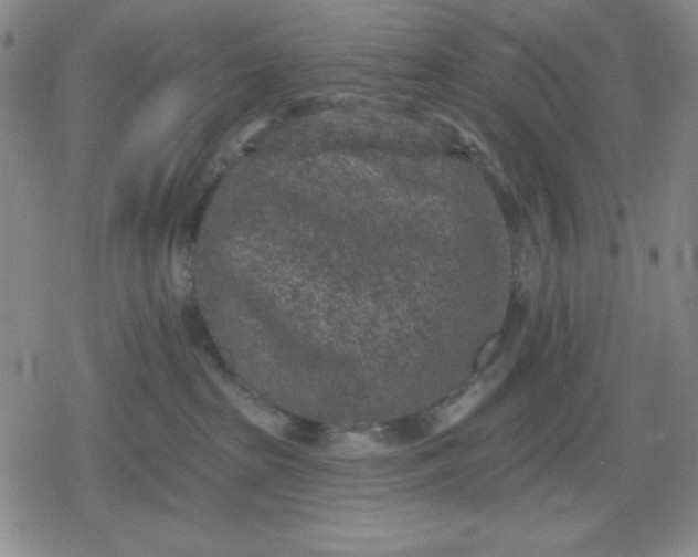 X0000080180285200612221323