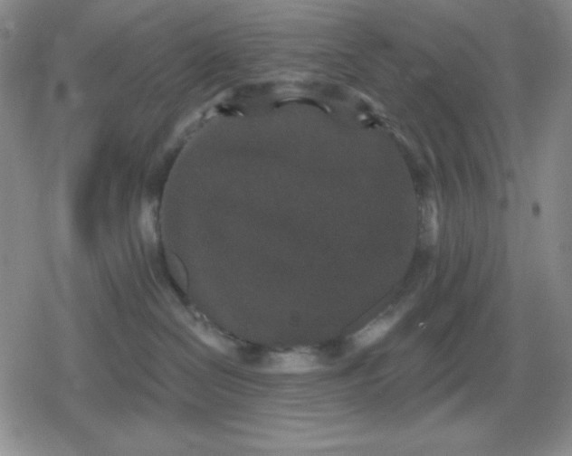 X0000080180286200612221323