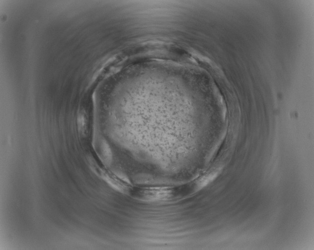 X0000080180288200612221323