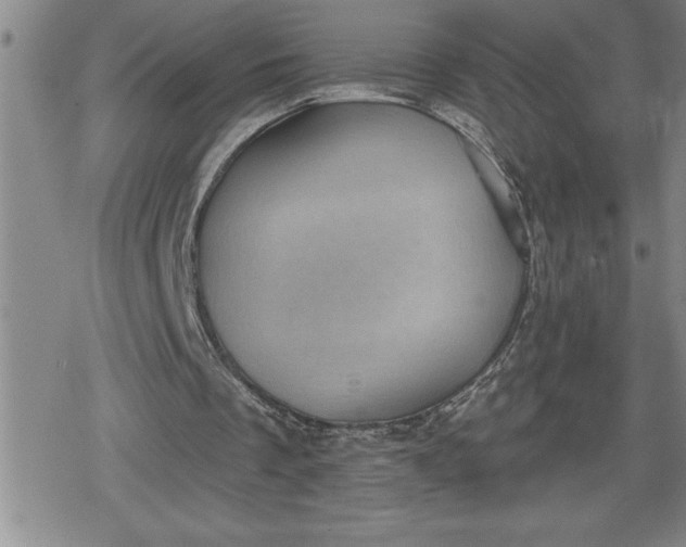 X0000080180289200612221323