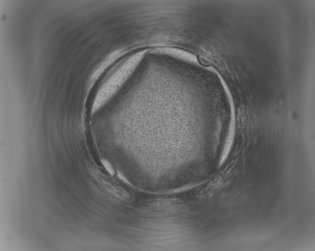 X0000080180292200612221323