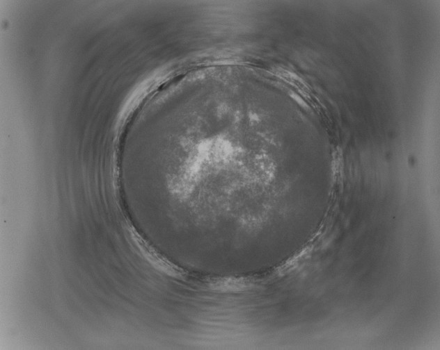 X0000080180293200612221323