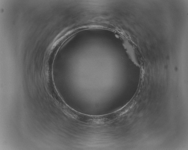 X0000080180295200612221322